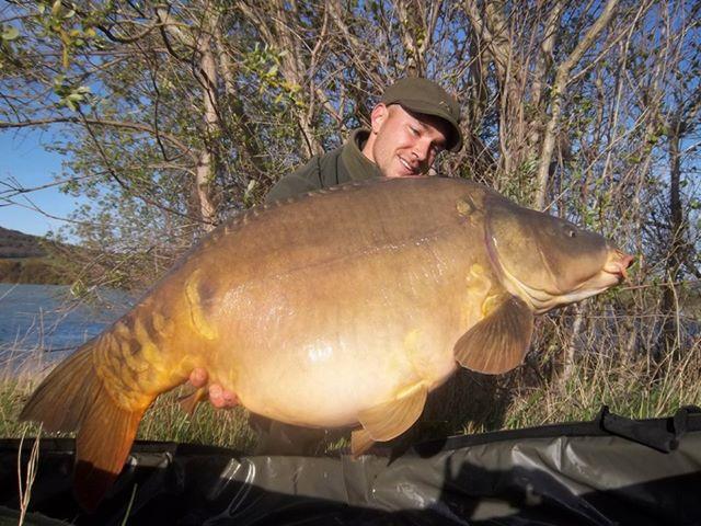 diverse adunate 2 - 5500734786234755285721025543995n.jpg